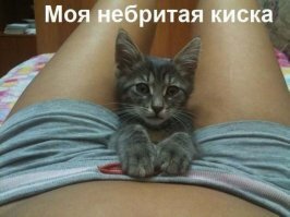 Перепутал локацию.