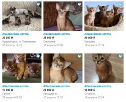 Кошка поможет.
Муторное дело? Нойте дальше.