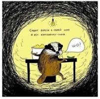 Прикольные и смешные картинки