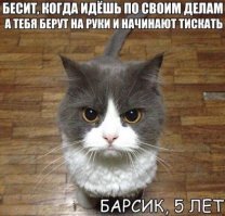 Кошка принесла своего котенка на медицинский осмотр в больницу