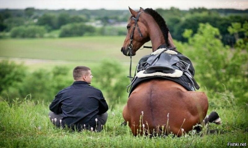 35 душевных фотографий, которые восполнят нехватку добра