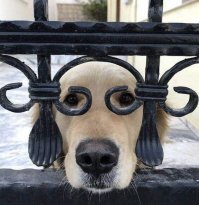 Смешные картинки