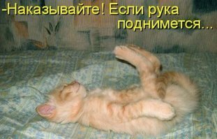 Прикольные и смешные картинки