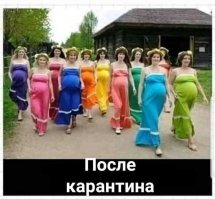 Прикольные и смешные картинки
