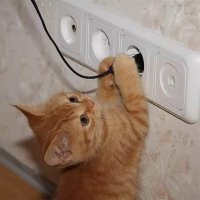 Смешные картинки