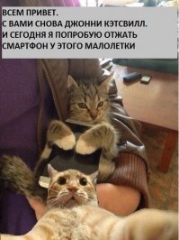 Прикольные и смешные картинки