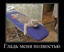 Смешные картинки