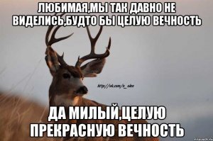 Прикольные и смешные картинки