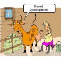 Прикольные и смешные картинки
