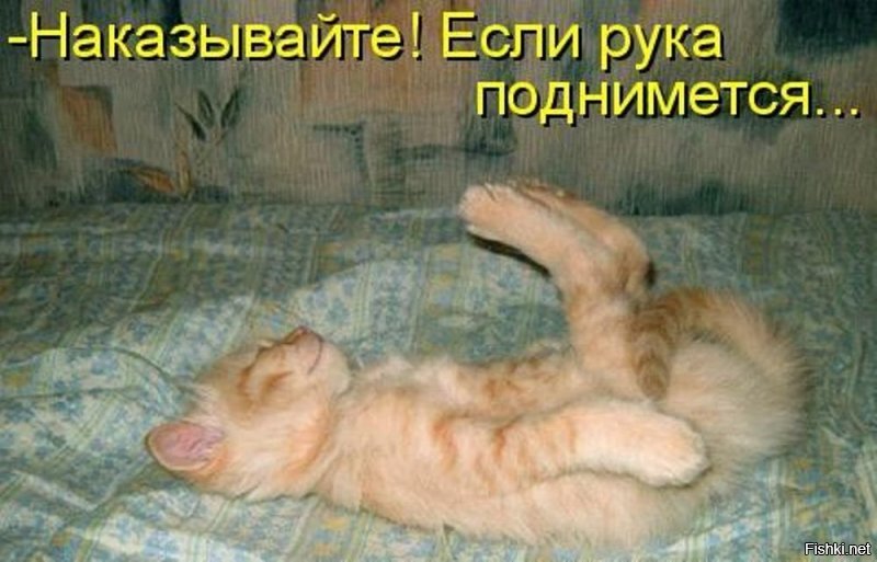 Прикольные и смешные картинки