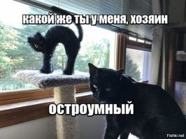 Не про тапки, но...