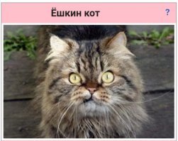 Про него есть какая-нибудь информация?