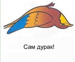 Картинки с надписями