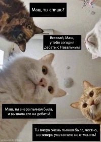 А утром приходит отрезвление...