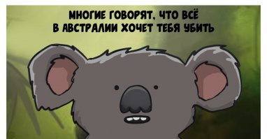 Слава богу, от меня в 14482 км