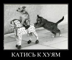 Прикольные и смешные картинки