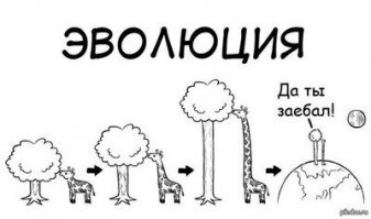 Смешные картинки