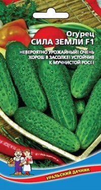 Прикольные и смешные картинки