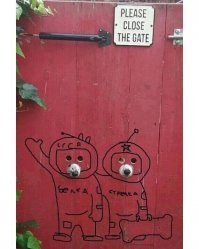 Смешные картинки