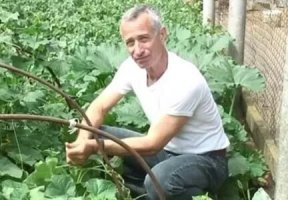 Огурец именно так и сказал бы