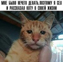 Криминальное чтиво
