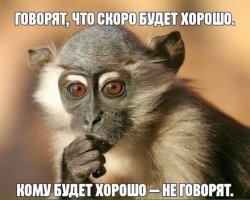 Прикольные и смешные картинки
