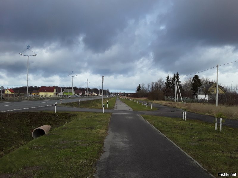 Чем укурились???? Вот мои фото. Первое 13 февраля, второе 26 февраля, далее 20 марта, цветение 4 апреля и 11 апреля уже деревья в полную силу, персик цветёт и много цветов. Одуванов куча, просто не выгружала с телефона. И последняя... внимание! 26 января этого года. Так что не стоит говорить за всех. Страна у нас большая и климат очень разнится, не говоря уж о просто погоде. Да, если что, у нас тут совсем не юга, а дикий, дикий Запад. )))