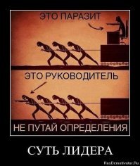 Паразита не видно.