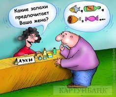 Веселые картинки субботним вечером