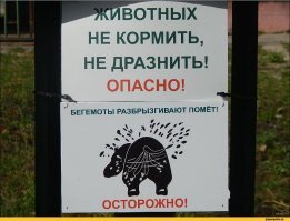 Веселые картинки субботним вечером