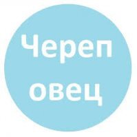 Веселые картинки субботним вечером