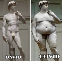 Прикольные и смешные картинки