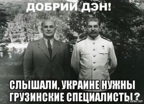 да, эти могли бы навести порядок