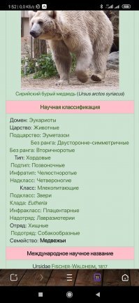 А подотряд?