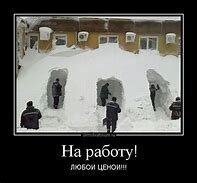 Прикольные и смешные картинки