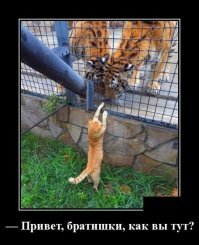 за такие шутки можно и поплатиться