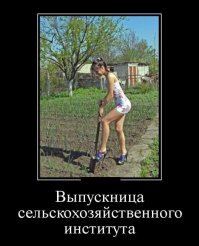 А вы что хотели? Она ж...