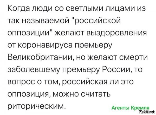 Российская, именно российская. Но не оппозиция - те тоже граждане своей страны - а пятая колонна внутри российского общества. Но они в России, т.к. в Англии или ещё где они никому не нужны. По совокупным признакам - глисты: живут паразитами в организме, но вне организма нежизнеспособны.