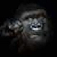 Но ты,  на твоей аватарке,  выглядишь пострашней даже примитивного представителя Homo Sapiens. И по мозгам тоже на уровне их. :)