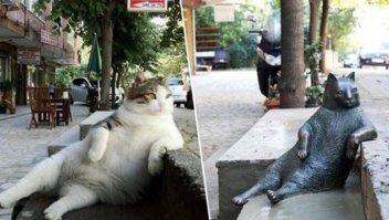 Умер котейка, памятник поставили