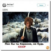 очень жалко что среди хороших парней оказался урод конченый...