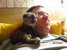 15 хвостатых помощников, с которыми любая работа по плечу 