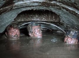 18 индийцев, обнаруженных в бетономешалке, пытались вернуться домой