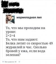 Шесть с половиной, всё понятно..