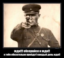 Под Воронежем собака принесла людям непонятного зверька