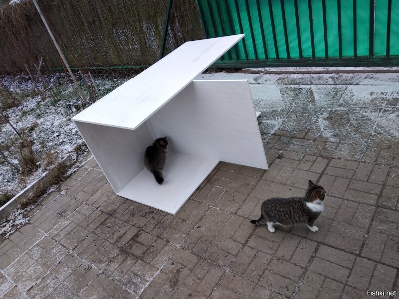 тоже приютил на зиму...