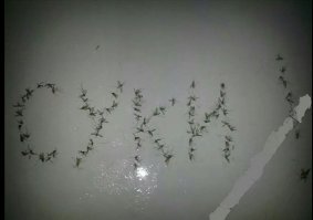 Не благодари.