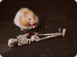 Почему конец видео не показали.