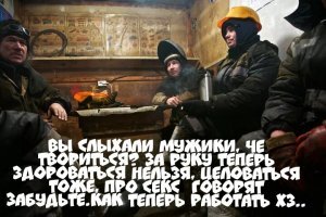 Прикольные и смешные картинки