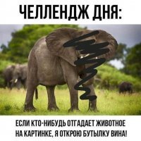 Ёж, вроде, но, могу ошибаться